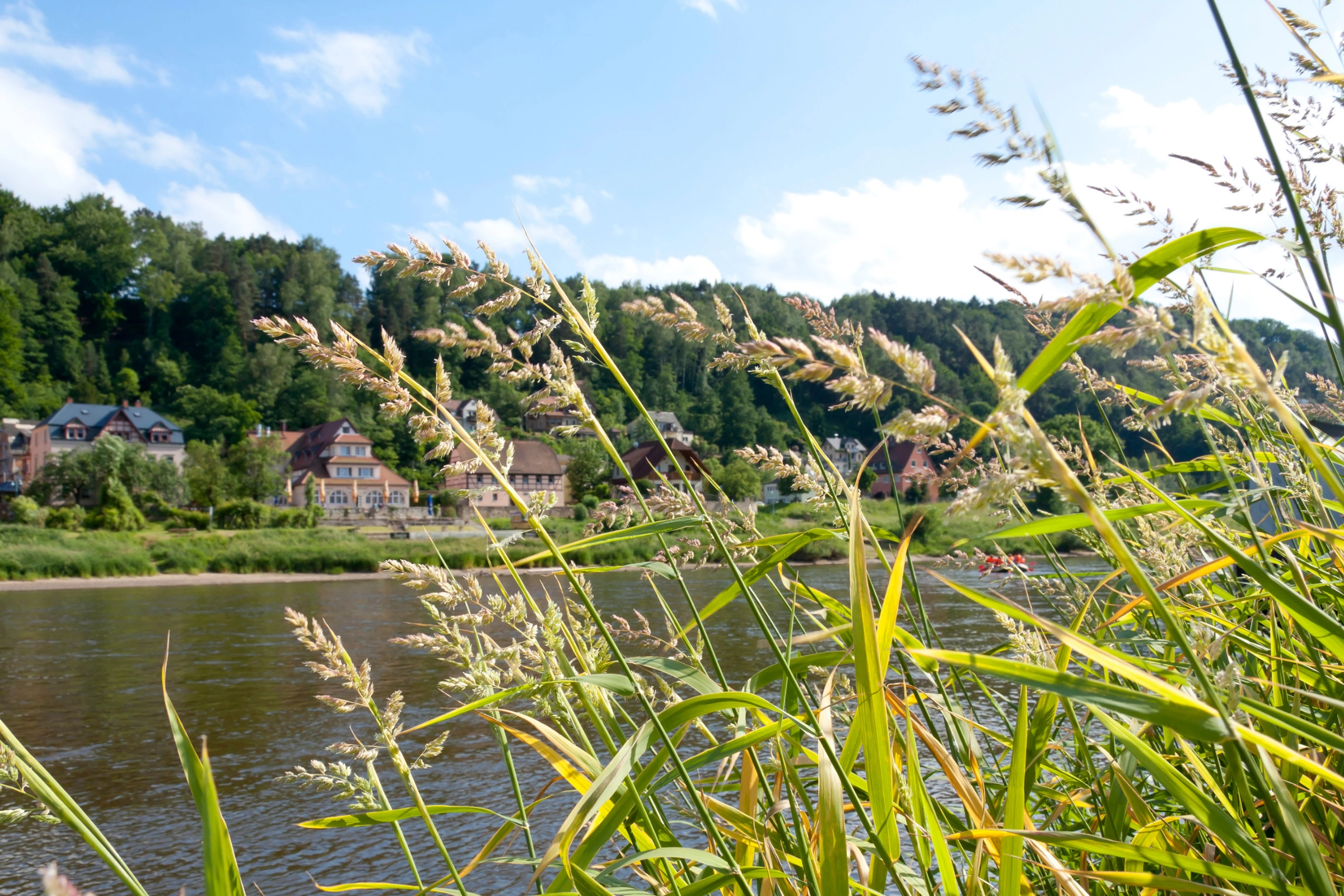 Wehlen[1].webp